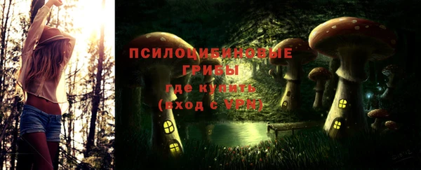 молекула духа Алексеевка