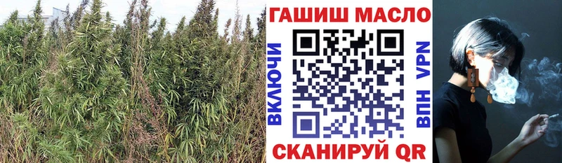 Дистиллят ТГК THC oil  omg как зайти  Зея 