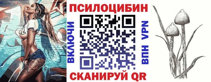 Псилоцибиновые грибы Cubensis закладки Зея
